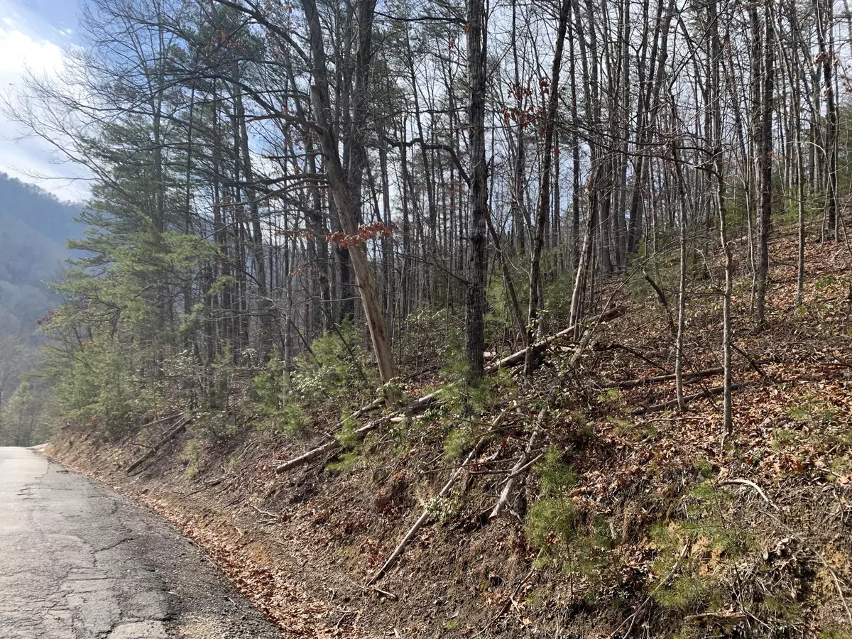 Sevierville, TN 37862,Shagbark Multiple Lots