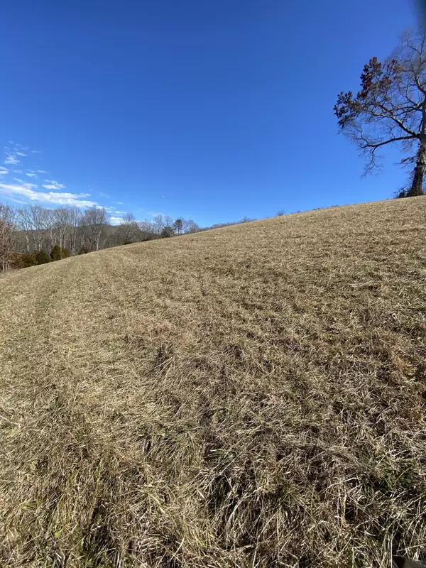 Maynardville, TN 37807,Bob Wright Rd Lot 37