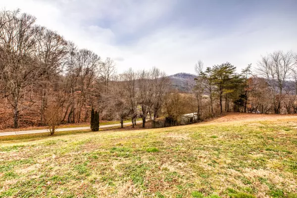 Jellico, TN 37762,161 Dobson LN