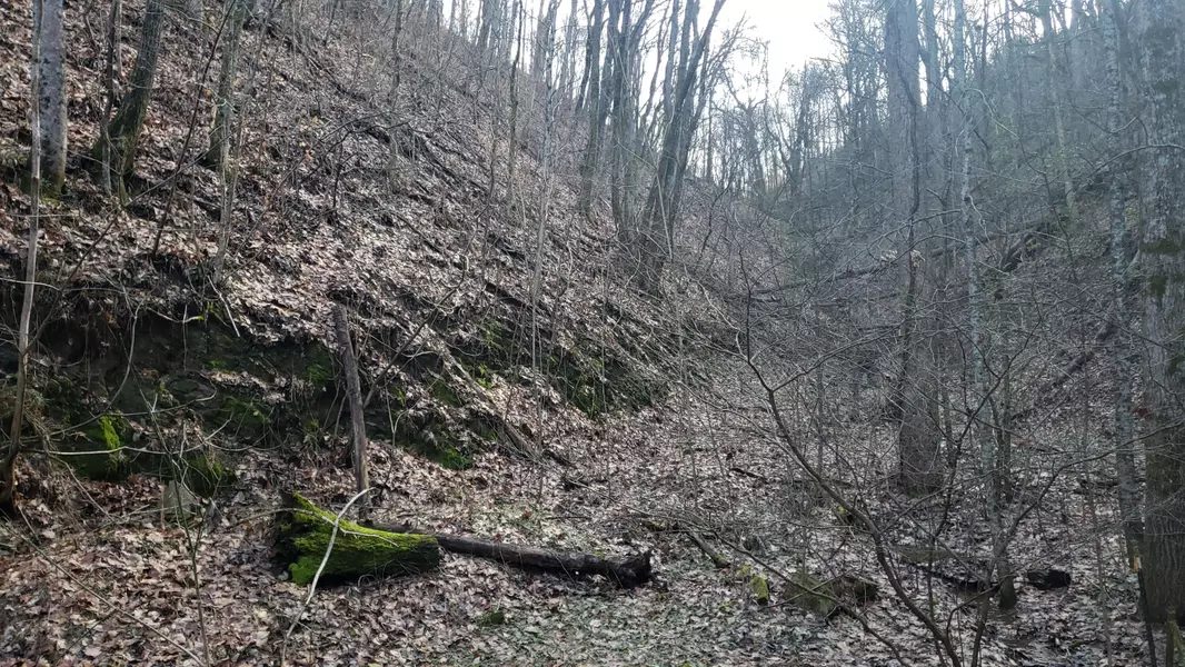 Pintaure WAY, Newport, TN 37821