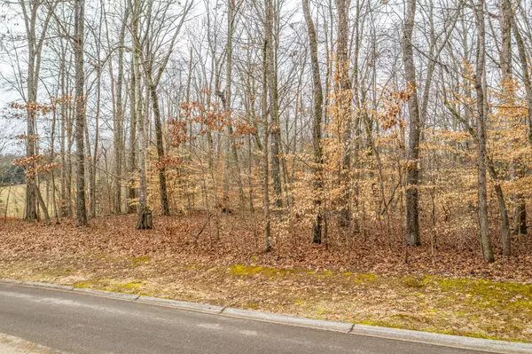 Lot 34 Blount CIR, Rutledge, TN 37861