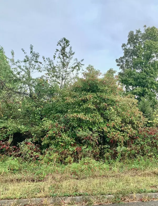 Lot 178 Lakeshore DR, Rutledge, TN 37861