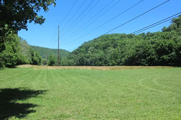 Townsend, TN 37882,Wears Valley Rd. (36.07 Ac.)