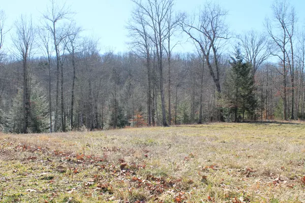 Jamestown, TN 38556,Lot 78 Eagle Bluff