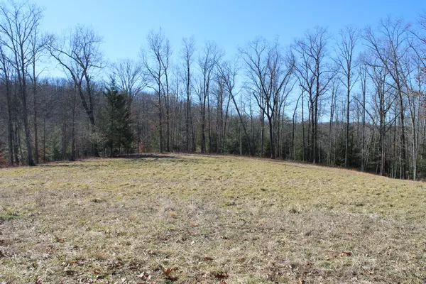 Jamestown, TN 38556,Lot 78 Eagle Bluff