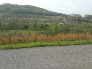 Swan Pond Circle Rd, Harriman, TN 37748