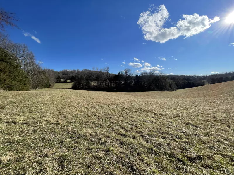 Good Hope Rd, Parrottsville, TN 37843