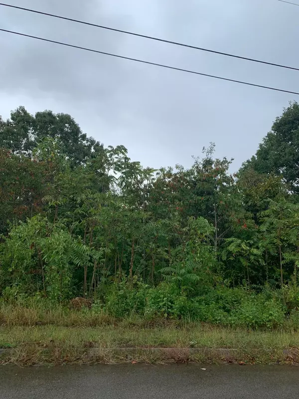 Lot 169 Woodstock DR, Rutledge, TN 37861