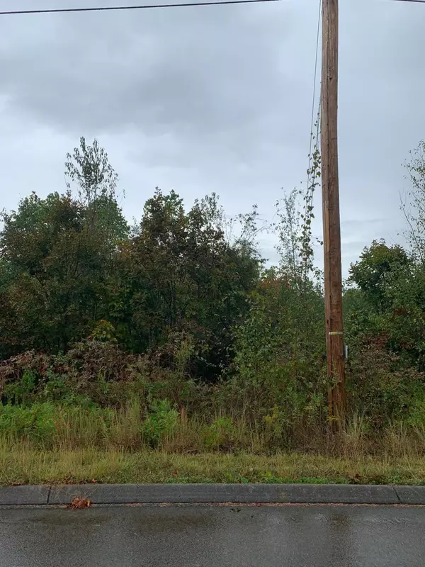 Lot 171 Woodstock DR, Rutledge, TN 37861