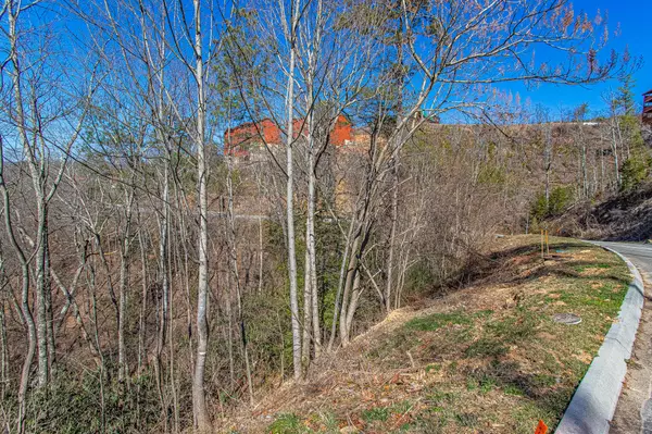 Sevierville, TN 37862,Lot #63 Smoky Ridge Way