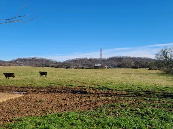 Jefferson City, TN 37760,6.60 Acres Tom Breeden Rd