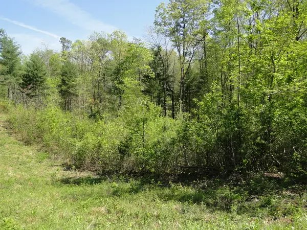 Tellico Plains, TN 37385,315 Epperson Road