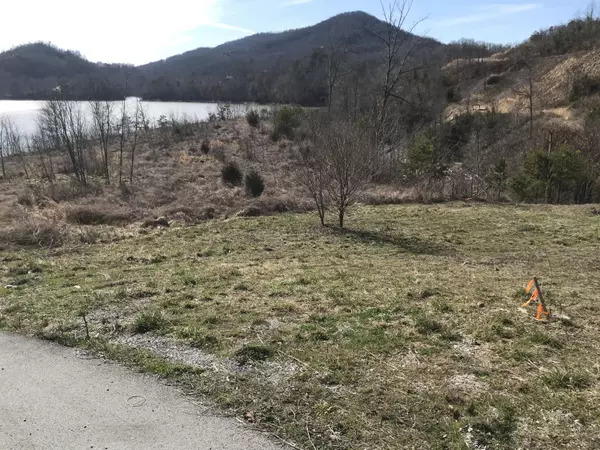 Tazewell, TN 37879,Owen Payne Lot 17 LN