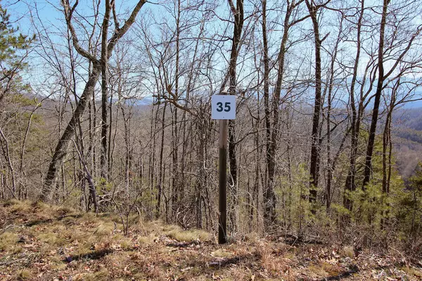 Lot 35 Mountain Ash Way, Sevierville, TN 37876