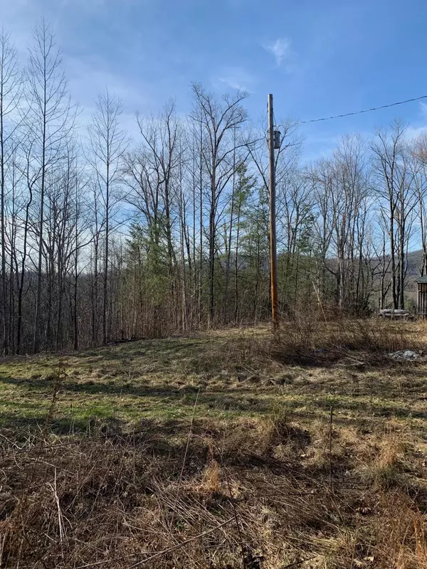 Cosby, TN 37722,LOT 4 CATONS GROVE RD.