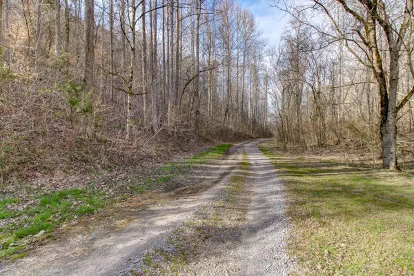 37 Acres Turkey Hollow LN, Sevierville, TN 37876