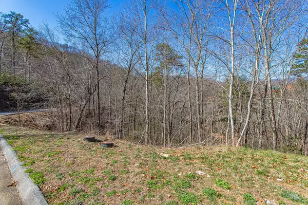 Sevierville, TN 37862,Lot #65 Smoky Ridge Way