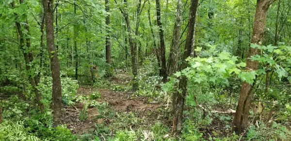 Harriman, TN 37748,Lot 6 Blue Heron DR