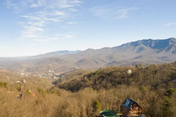 Gatlinburg, TN 37738,1409 Arbon DR