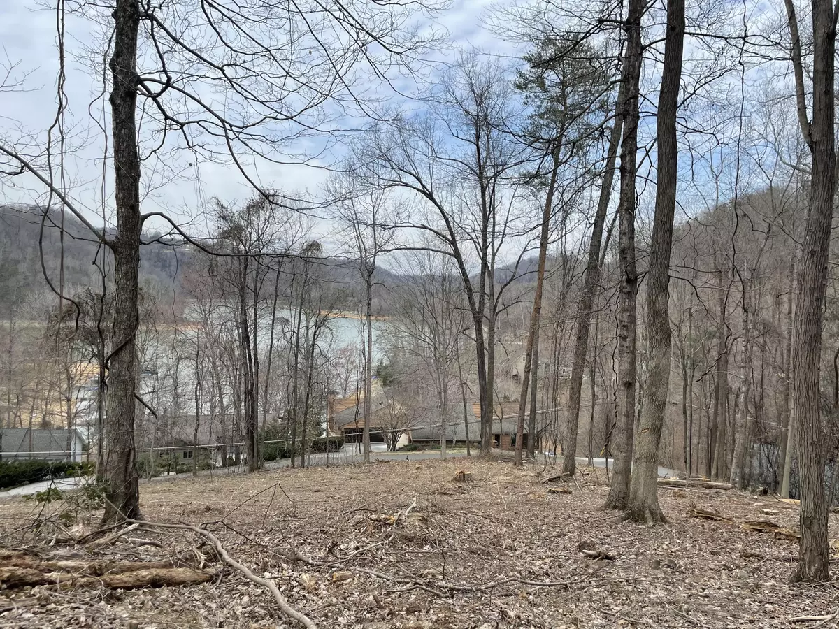 Caryville, TN 37714,lot #55 Shorewood LN