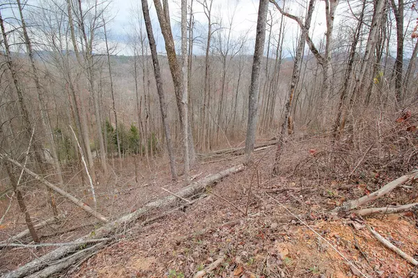 Gatlinburg, TN 37738,Lot 16-C Laurel Way