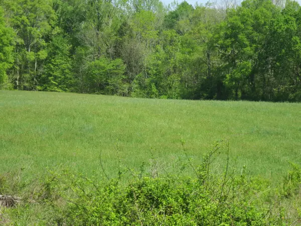 Lot 7 No Pone Valley Road, Decatur, TN 37322