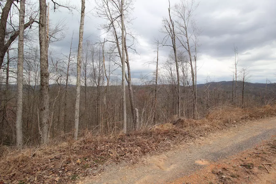 Lot 17-C Laurel Way, Gatlinburg, TN 37738