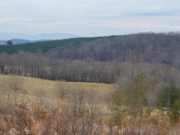 Sweetwater, TN 37874,45 Acres Slabtown Rd