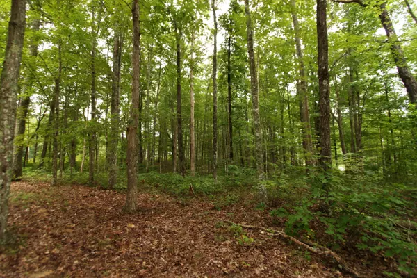 Lot 61 Grandview WAY, Jamestown, TN 38556