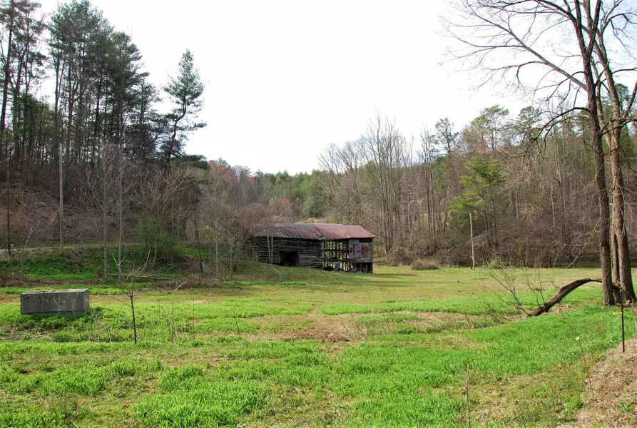 798 Bug Branch Rd, Del Rio, TN 37727