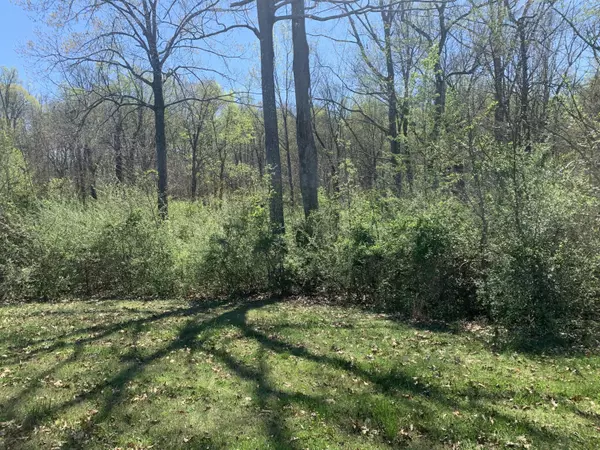 Louisville, TN 37777,Lot 9 Preserve at Lashbrooke