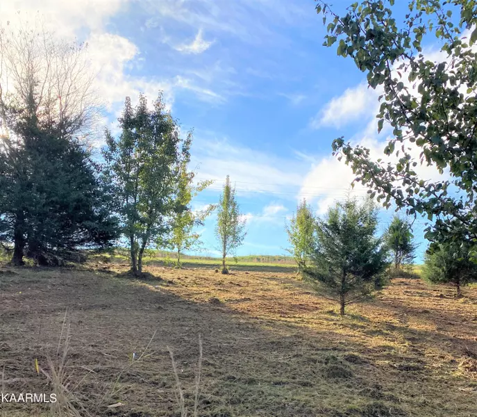 Lot 4 Kahite Tr, Vonore, TN 37885