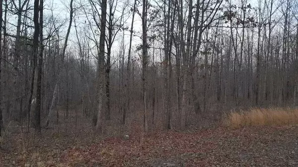 Pikeville, TN 37367,Lot 112 Gray Rock View