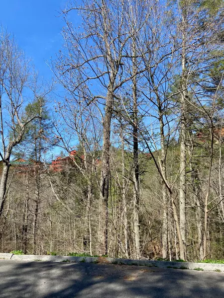 Lot #66 Smoky Ridge Way, Sevierville, TN 37862