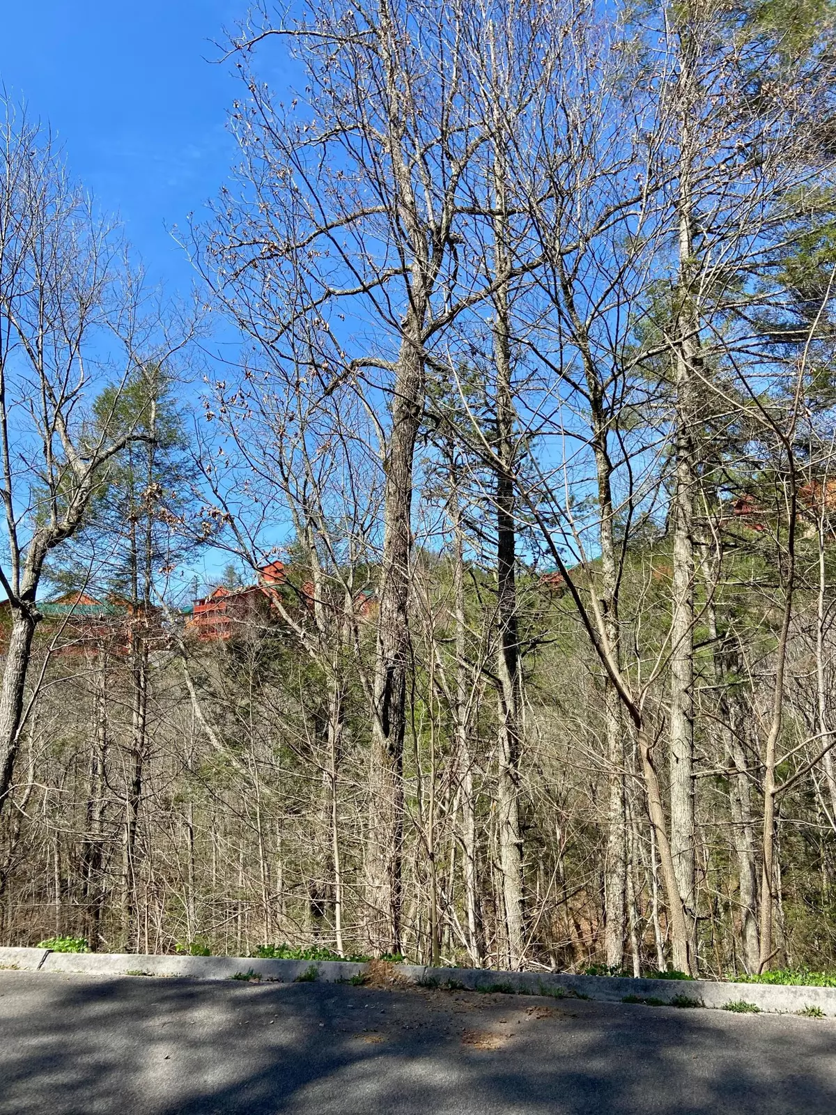 Sevierville, TN 37862,Lot #66 Smoky Ridge Way