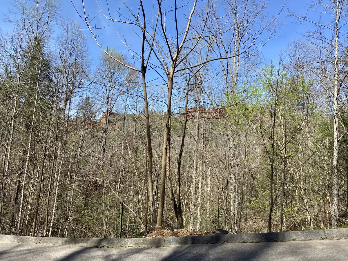 Sevierville, TN 37862,Lot #71 Smoky Ridge Way