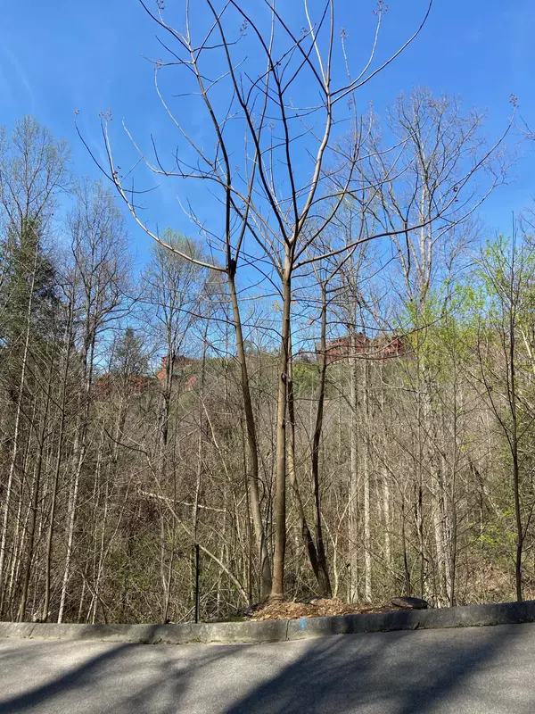 Sevierville, TN 37862,Lot #71 Smoky Ridge Way