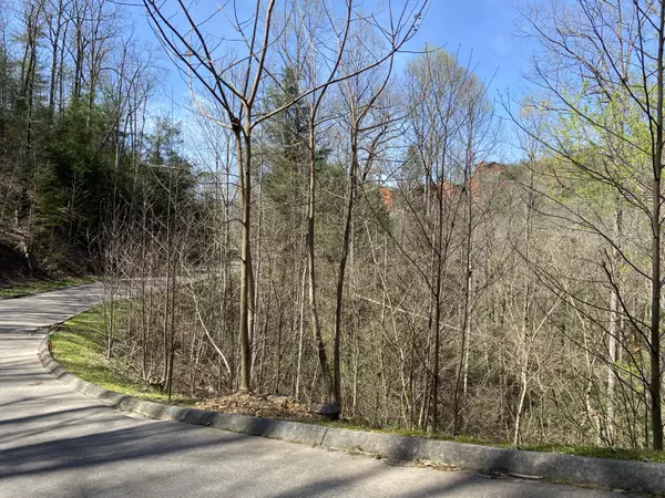 Sevierville, TN 37862,Lot #71 Smoky Ridge Way