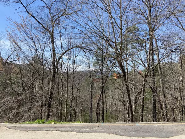 Lot #74 Smoky Ridge Way, Sevierville, TN 37862