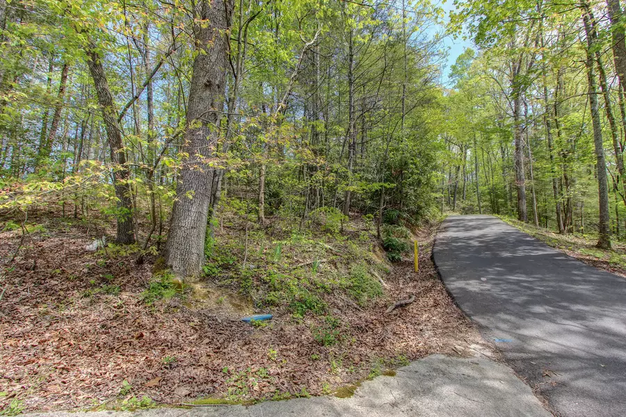 Lot 42 Ownby DR, Gatlinburg, TN 37738