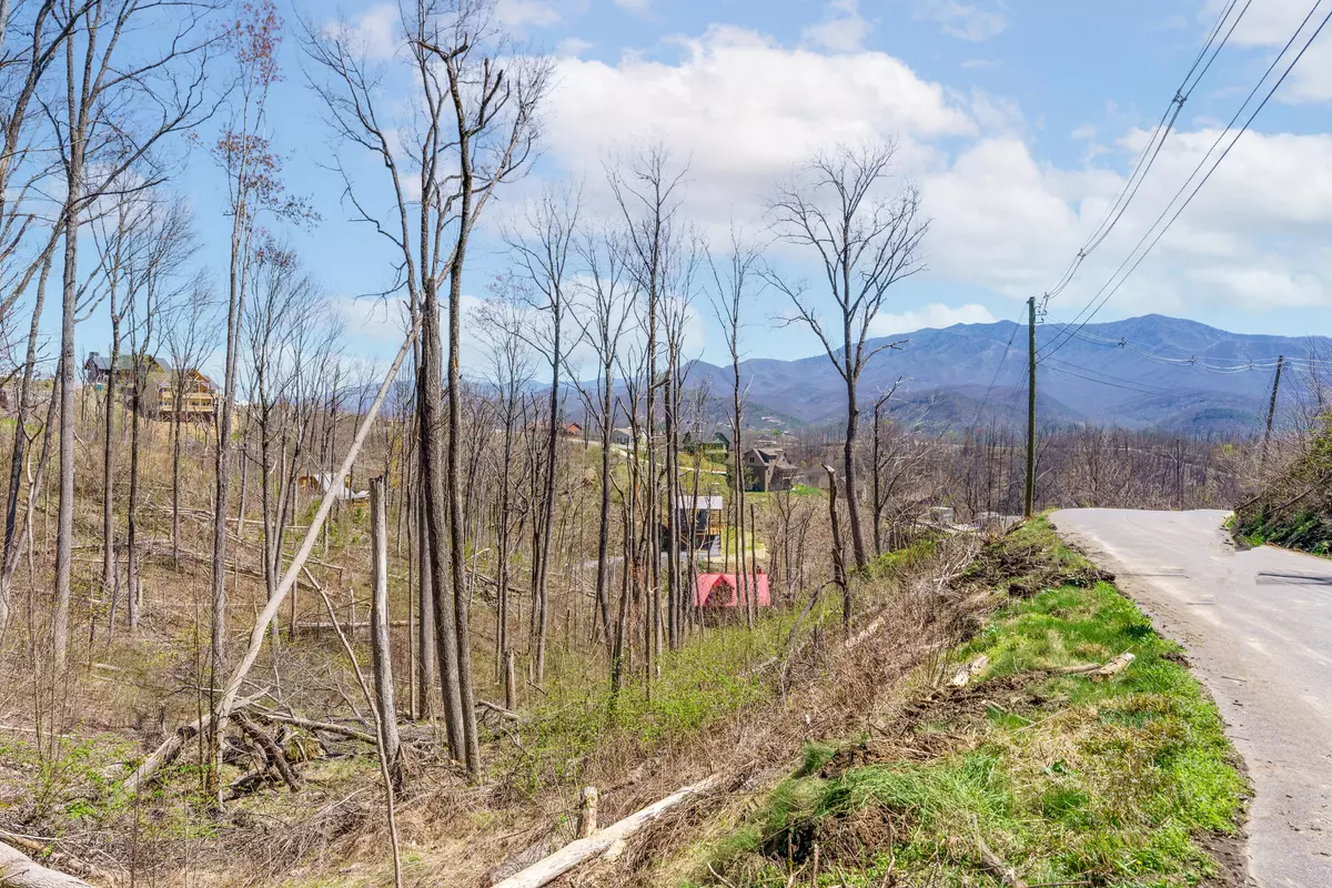 Gatlinburg, TN 37738,Lot 217 Cliff Branch Rd