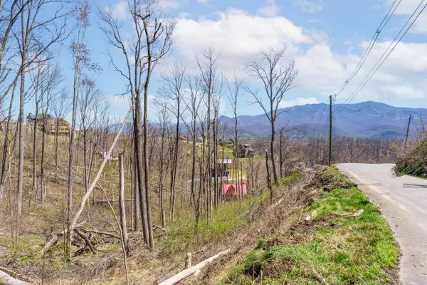 Lot 217 Cliff Branch Rd, Gatlinburg, TN 37738