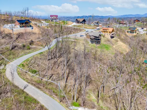 Gatlinburg, TN 37738,Lot 217 Cliff Branch Rd