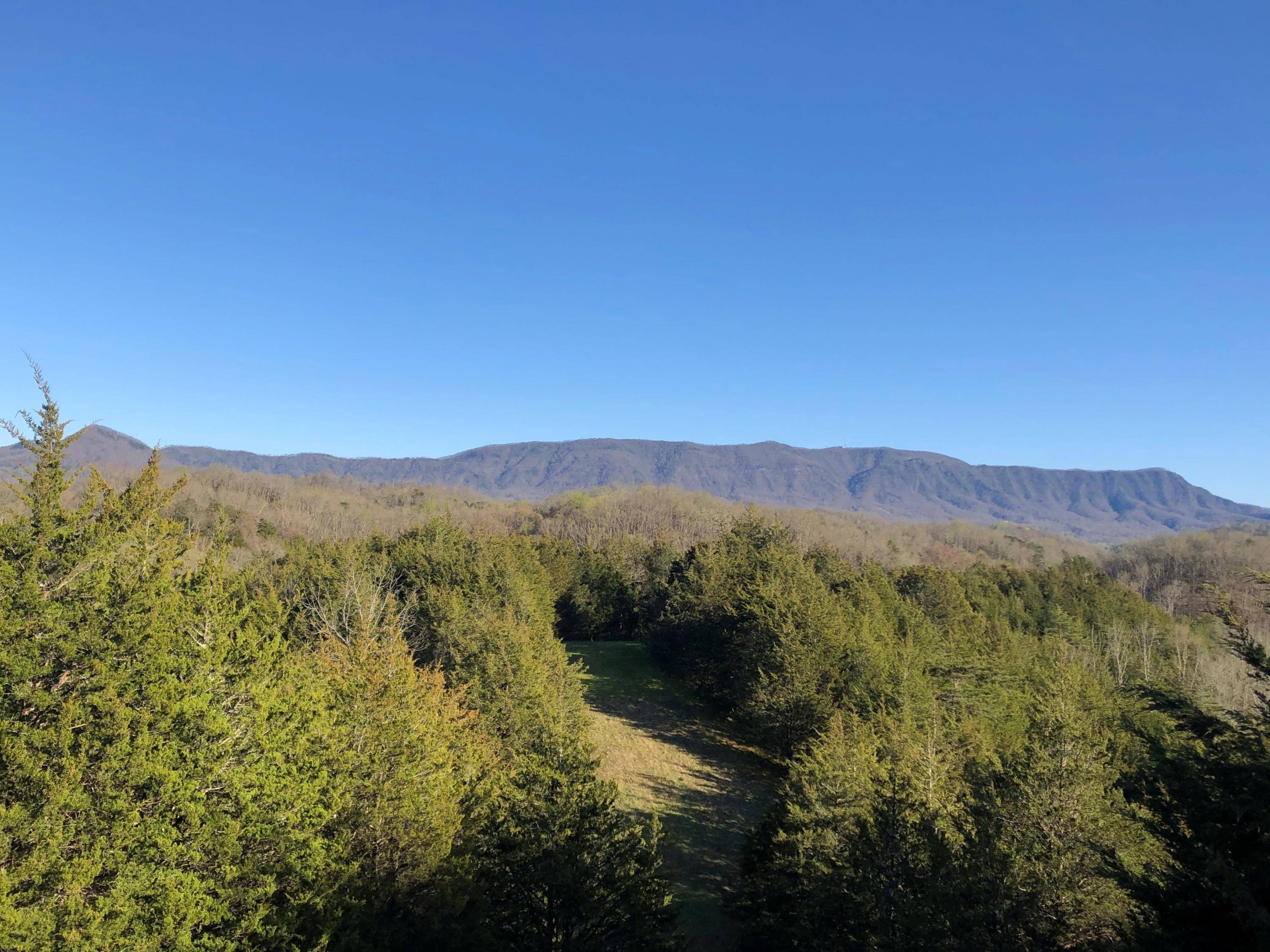 Dandridge, TN 37725,2710 Forest Ridge Rd