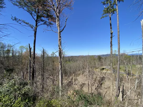 Gatlinburg, TN 37738,354 Cove Mtn Rd