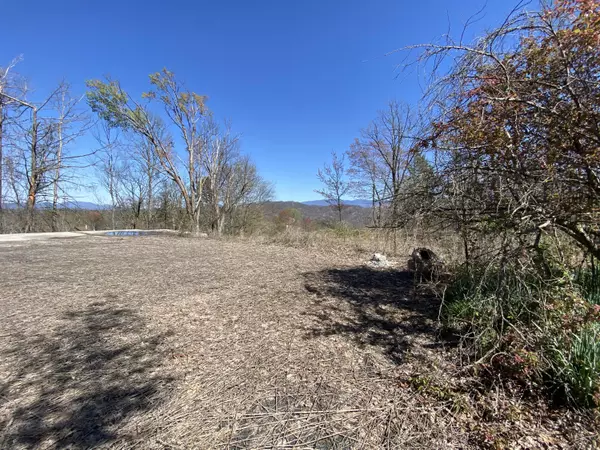 Gatlinburg, TN 37738,354 Cove Mtn Rd