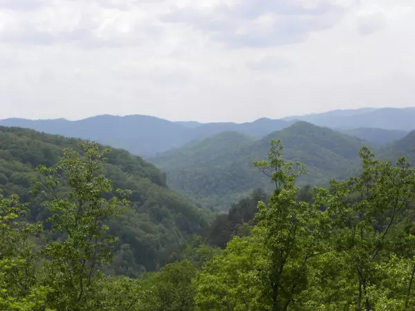 Sevierville, TN 37862,Lot 55/56 Long Rifle Rd