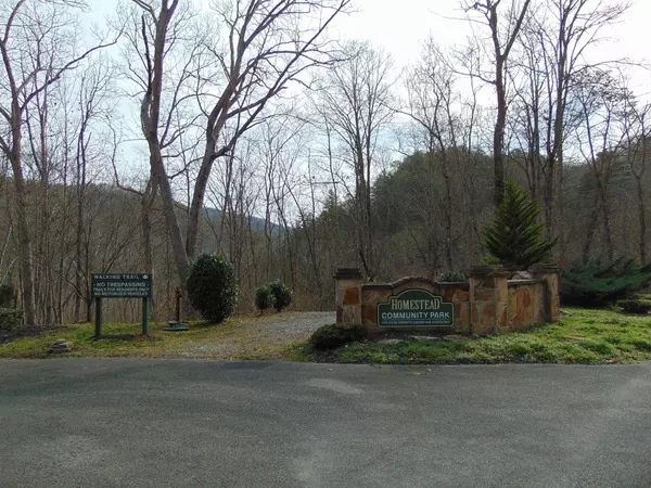 Sevierville, TN 37862,Lot 55/56 Long Rifle Rd