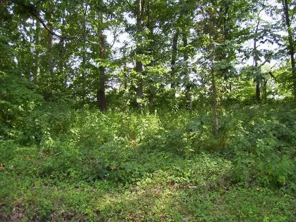 Bark & Powell Valley Shores LN, Speedwell, TN 37870