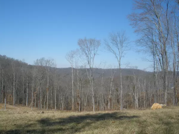 Lot 137, Hickory Pointe LN, Maynardville, TN 37807